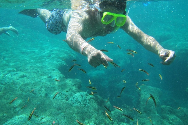  snorkeling in Huatulco 